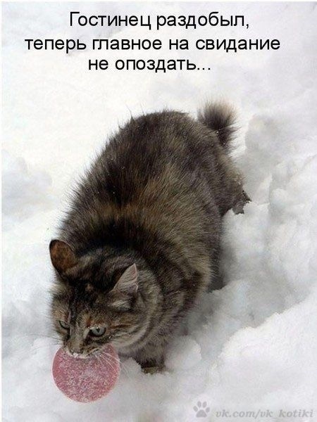 иллюстрация из яндекс картинки.