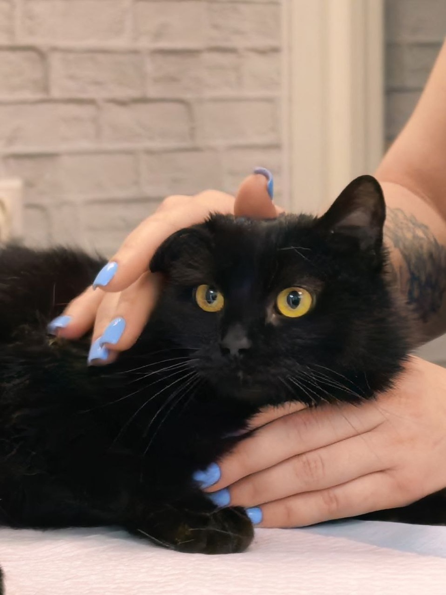 Черничке повезло найти своего человека. Фото из архива автора