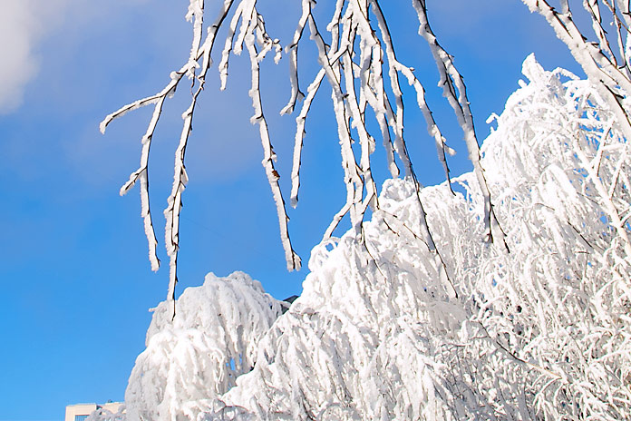    Фото из архива "Континента Сибирь"