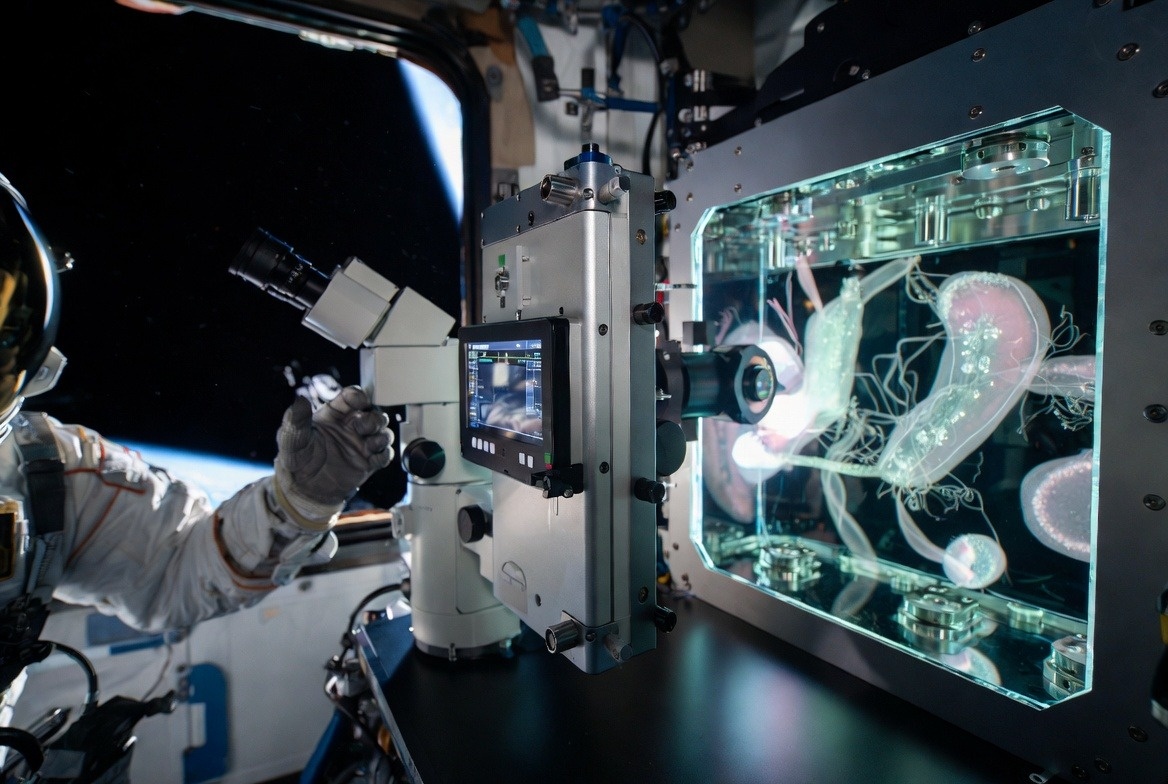 Иллюстрация: Grok  📷
