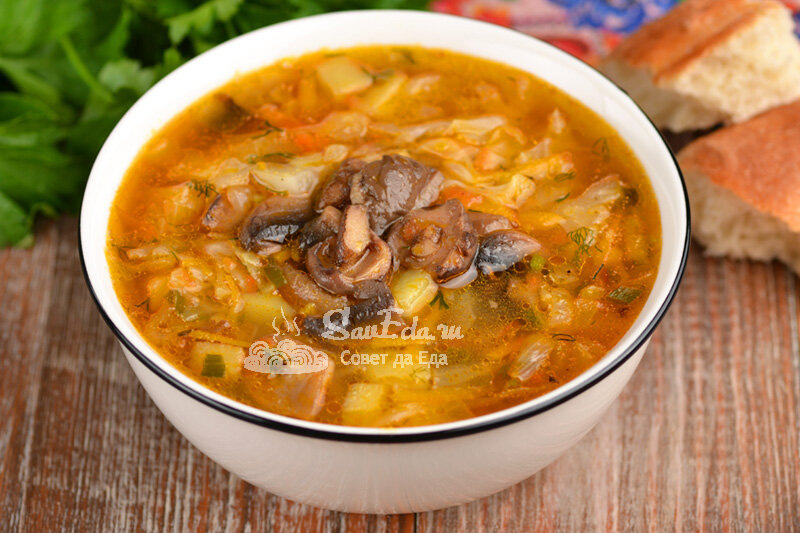 Два очень вкусных и разных супа с грибами