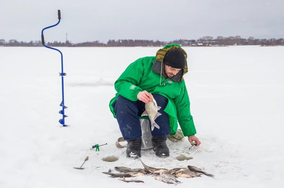    Для рыбаков-любителей действуют строгие ограничения по количеству выловленной рыбы.