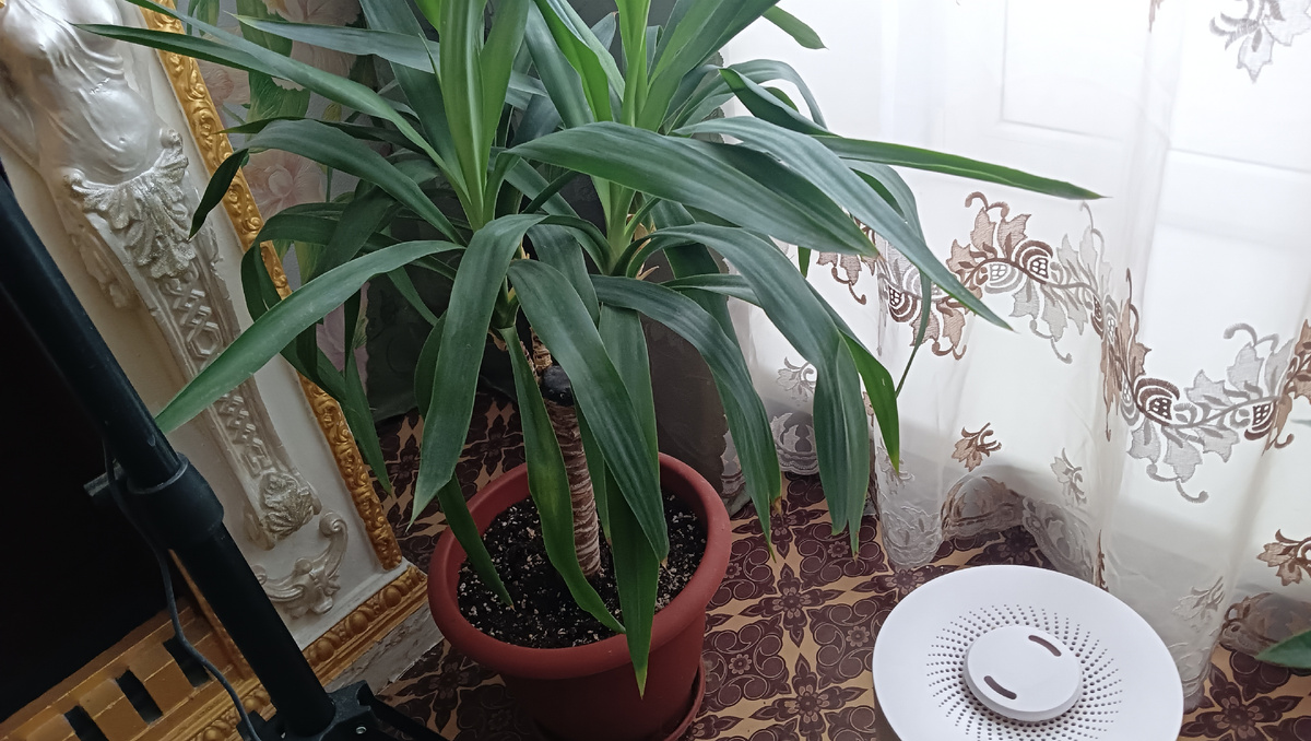 Освежитель 