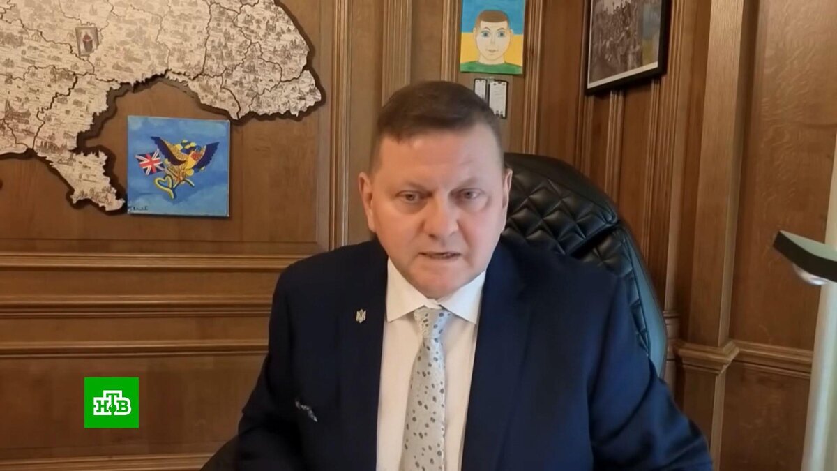    На Украине группы влияния ищут кандидатов на замену Зеленскому