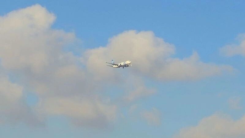    Фото: Tamer A Soliman/Shutterstock/Fotodom