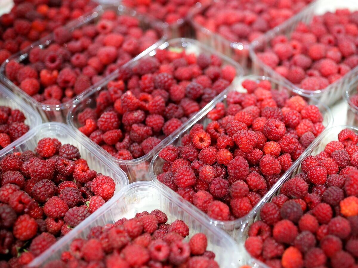    Контейнеры с малиной © РИА Новости . Виталий Тимкив