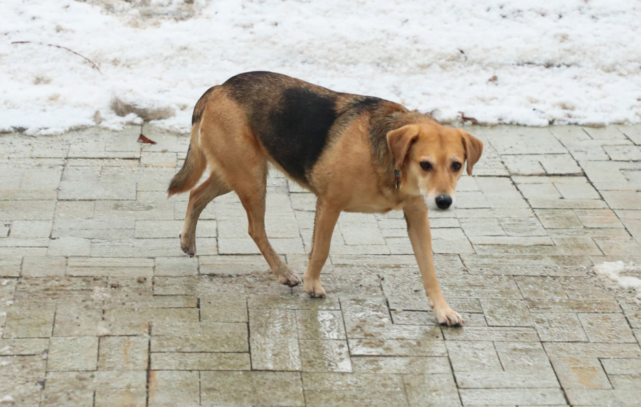    Сергей Петров/NEWS.ru