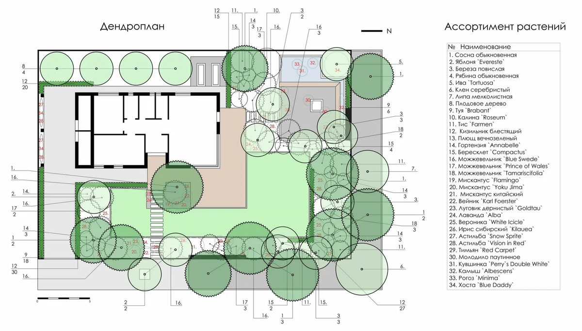 Дендроплан показывает сад в 'взрослом' виде — кроны деревьев через 10–15 лет уже не перекрывают друг друга