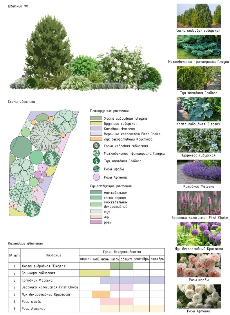 Ассортиментная ведомость + фото: сразу видно, как будет выглядеть ваш будущий сад