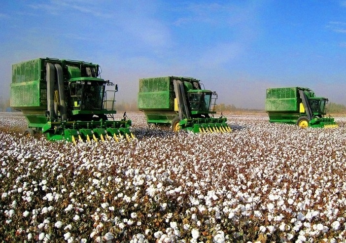 Фото с сайта kun.uz