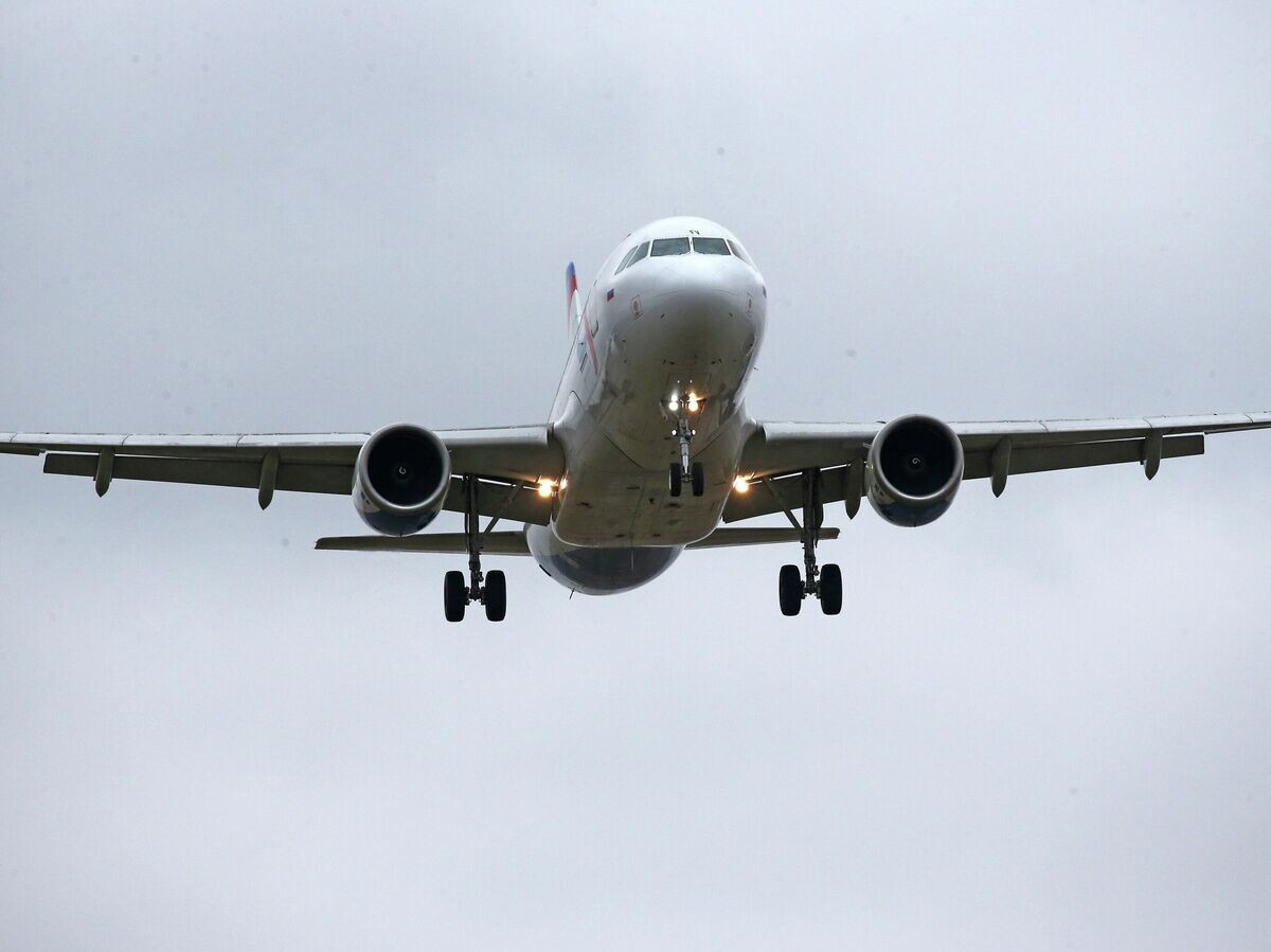    Самолет компании "Уральские авиалинии" © РИА Новости . Игорь Зарембо