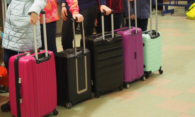    фото: © Мария Голубева