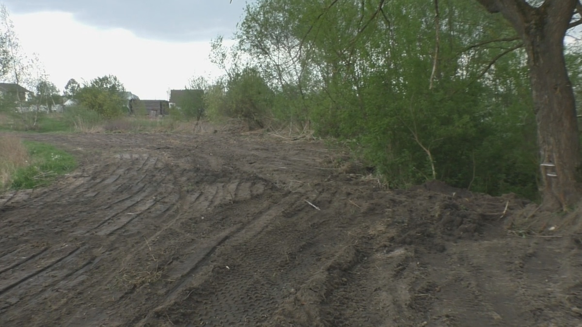 За трактором оставалась ровная полоса - вскоре таким стал и весь участок