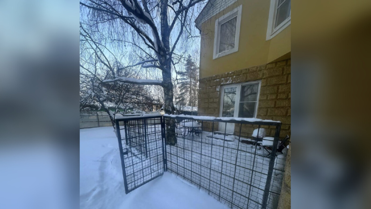 Фото: пресс-служба прокуратуры Петербурга