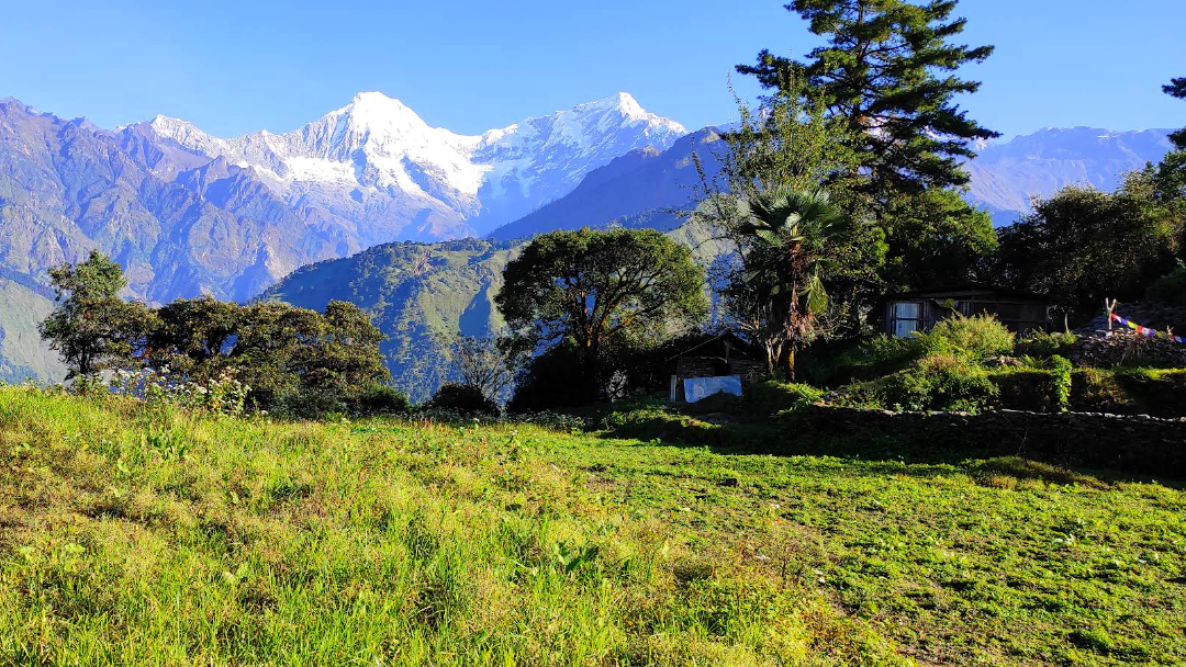 Ганеш Химал (Ganesh Himal). Фото из карт. 
