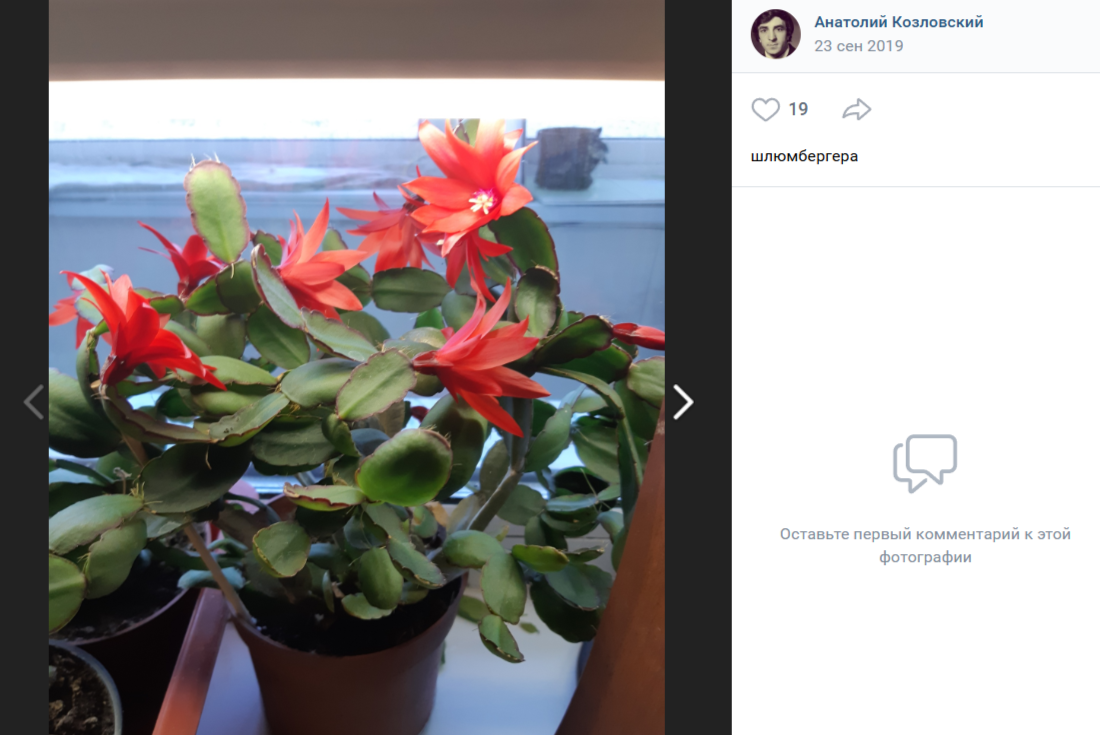 Фото из общедоступных источников, социальной сети ВКонтакте