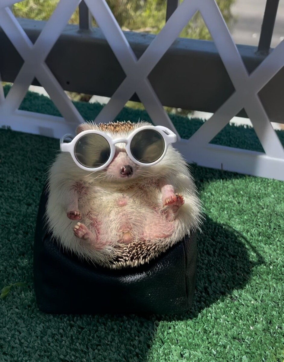 -Да, у меня свое кресло и свой дом!