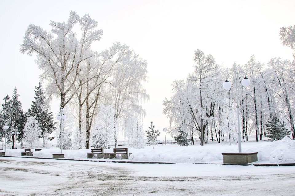    Зима. Снег. Погода.. Источник: Виталий Барабаш