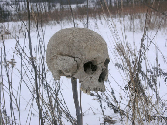 Фото: И. Шпагин