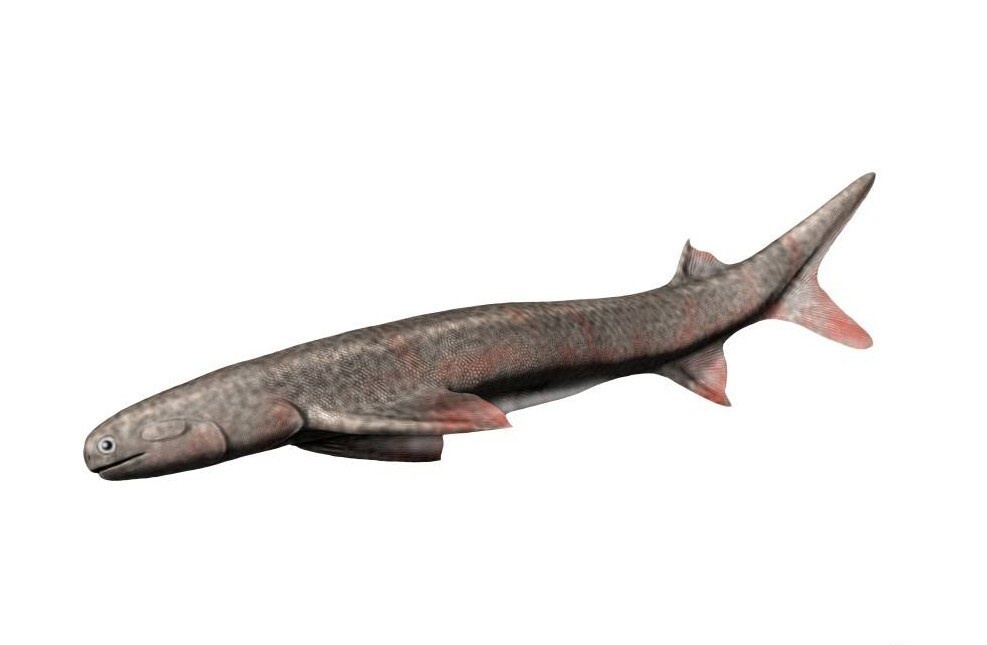 Источник: blogspot.com