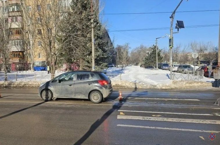 Фото: ГУ МВД по Волгоградской области