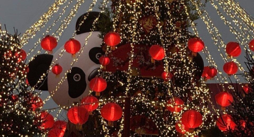    REGIONS/Дарина Левкина