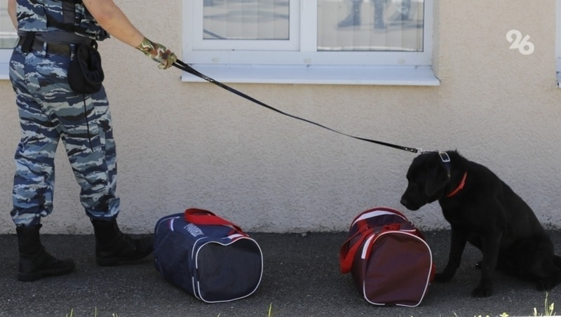      Фото: ИА «Победа26»