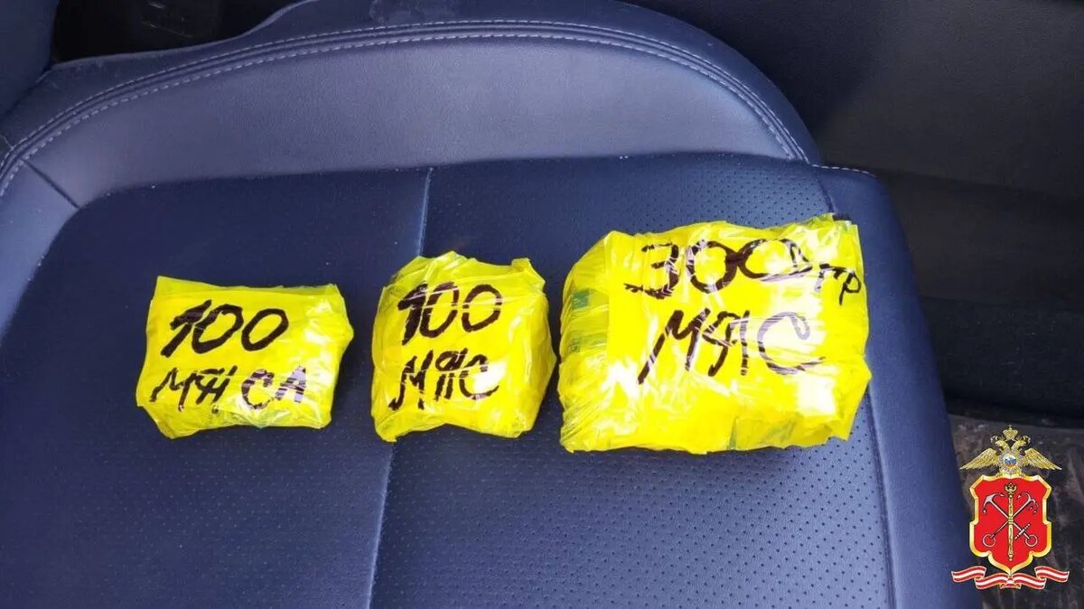    Фото: пресс-служба ГУ МВД России по Петербургу и Ленобласти.