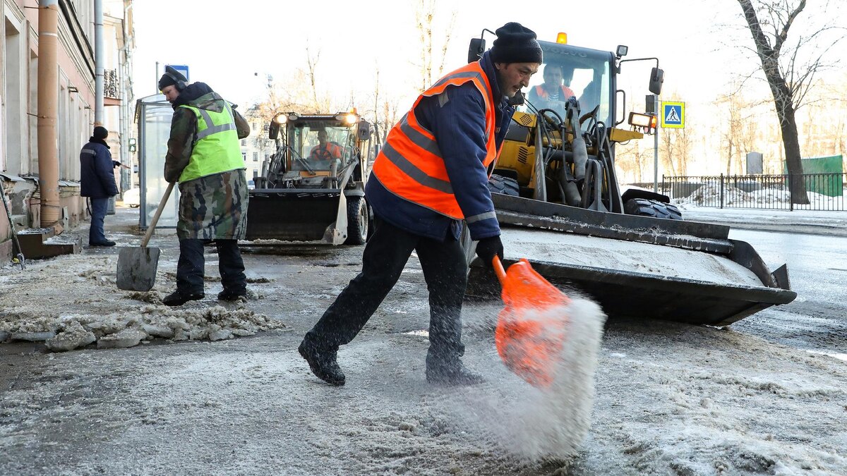    Фото: vk.com/kb_spb