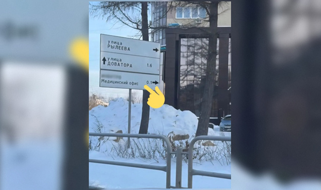 Фото: Анна Меркушева, предоставлено пресс-службой администрации Челябинска