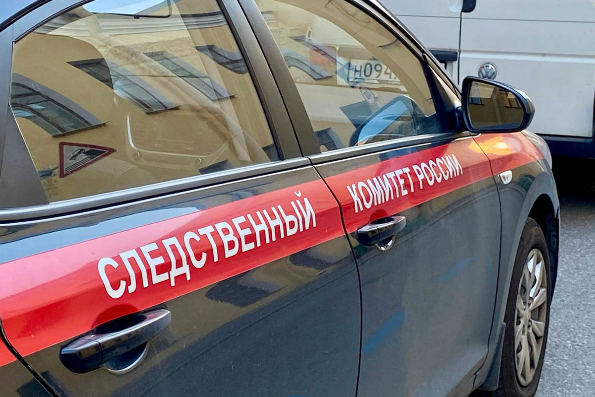 СК возбудил дело по факту нападения на сотрудников ДПС у Савеловского вокзала.  Фото: ФедералПресс / Кирилл Конторщиков