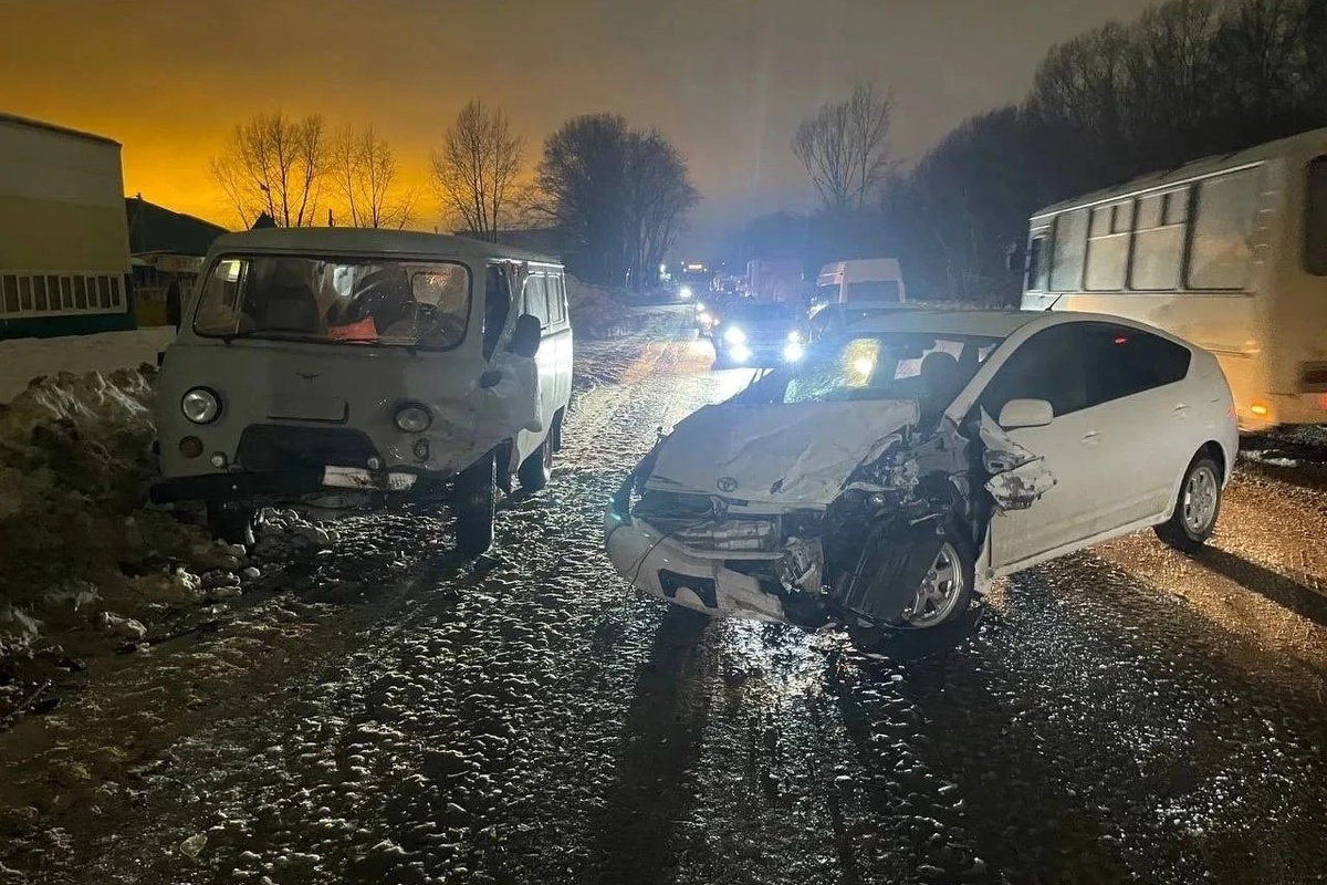    Фото: ГУ МВД России по НСО