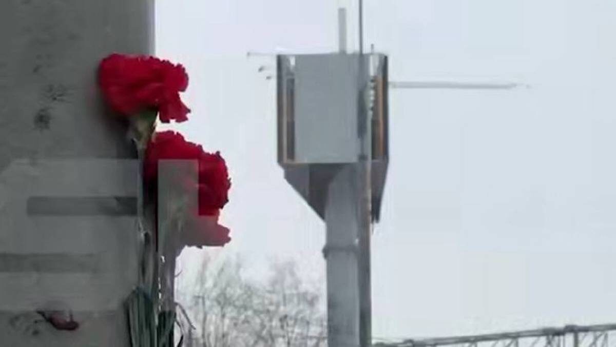    Фото: скриншот / Shot / Telegram