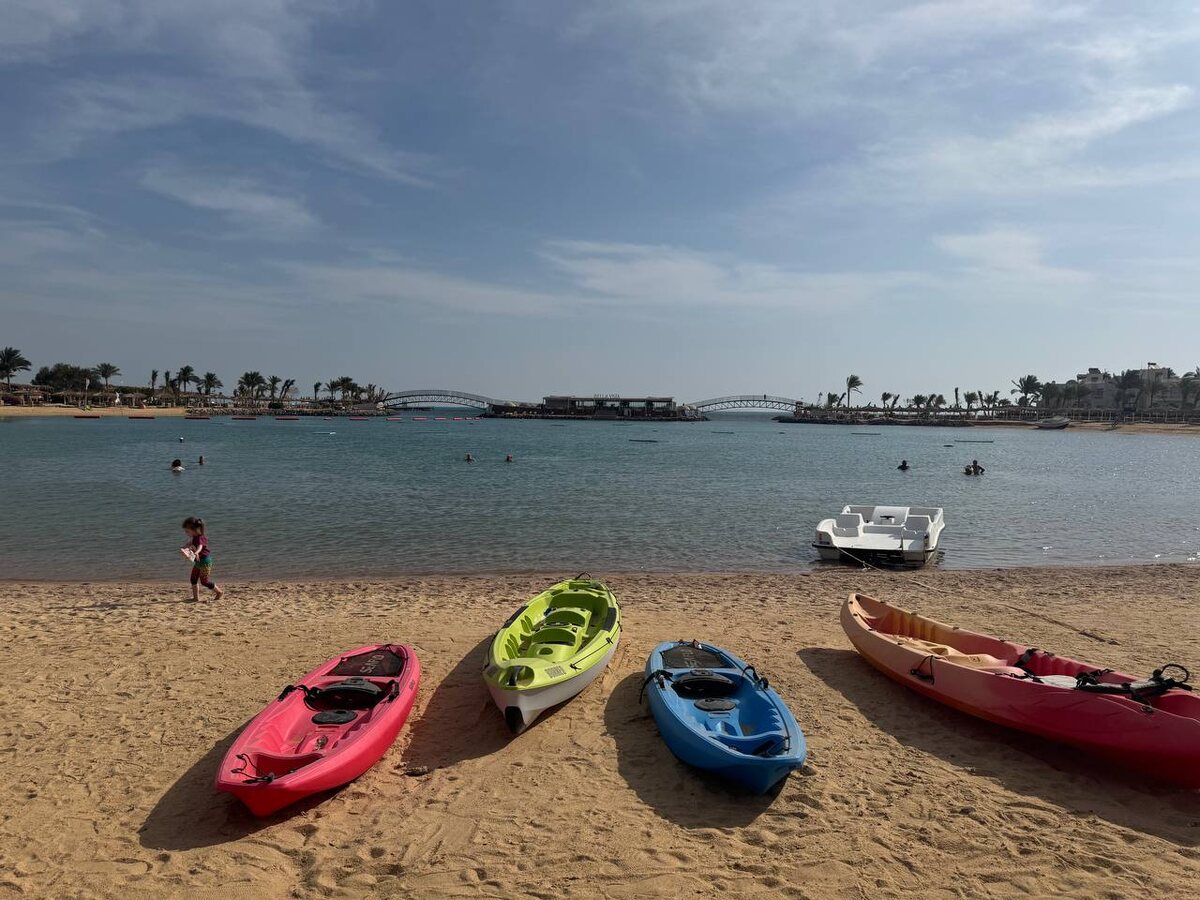 Фото из свободного источника интернет 