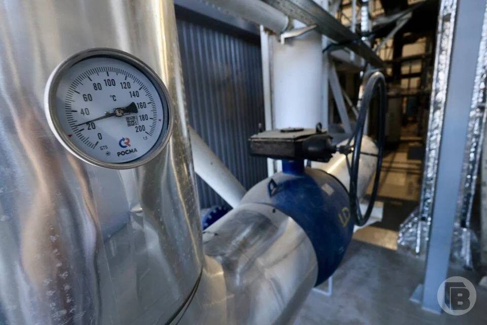    фото: Дмитрий Рогулин / "Городские вести"