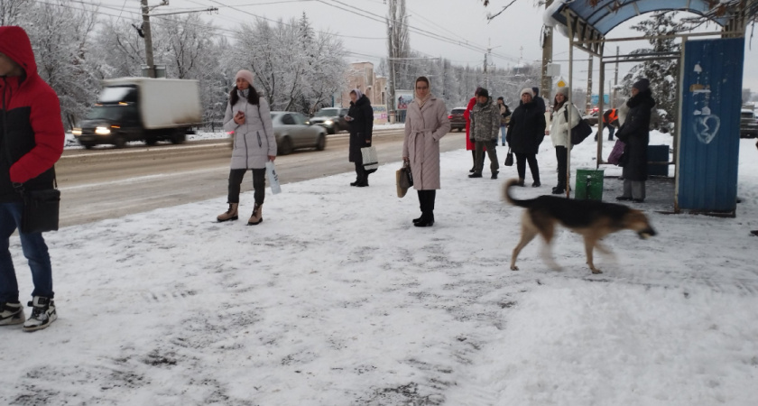    ПроГород