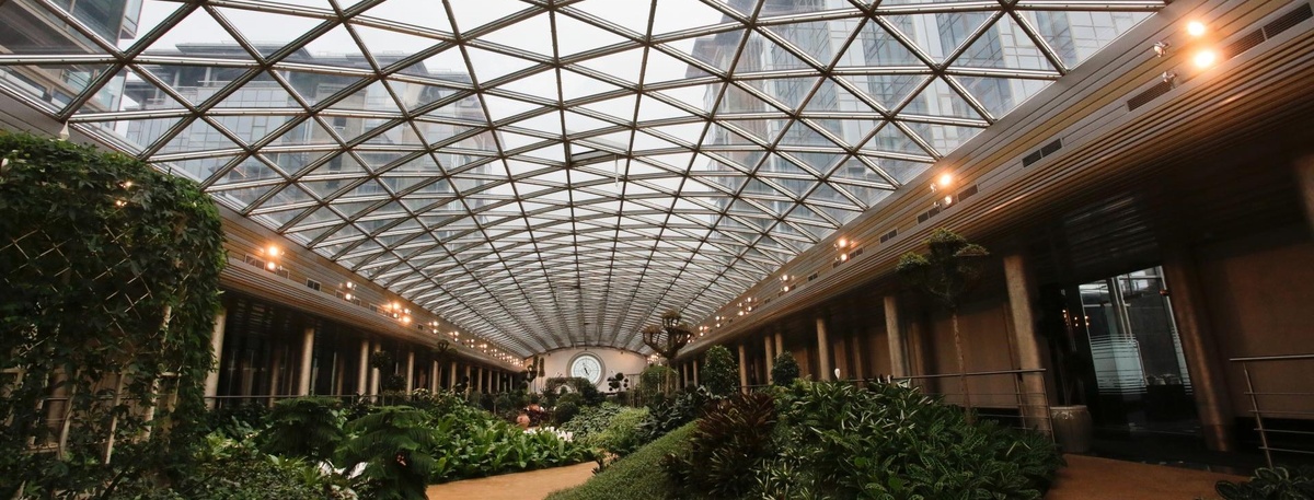    Автор фото: Змеев Максим