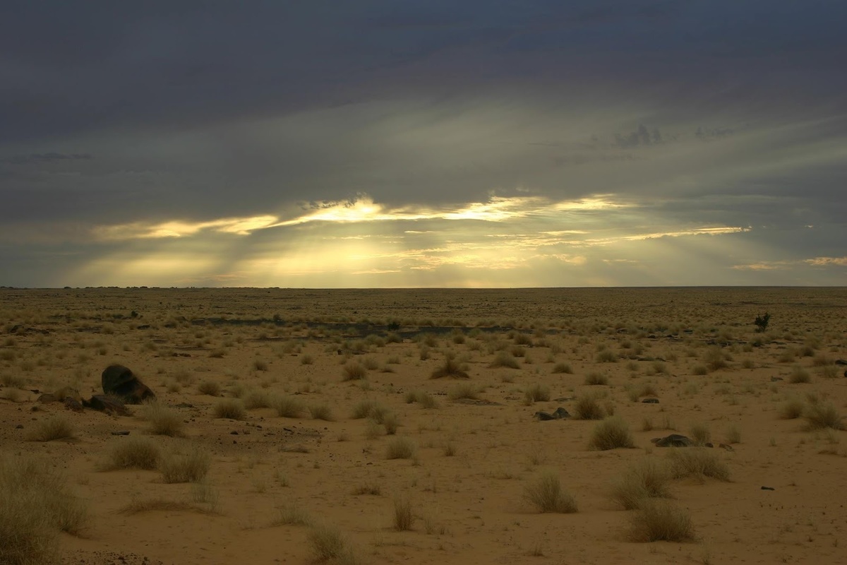 Где-то в пустыне