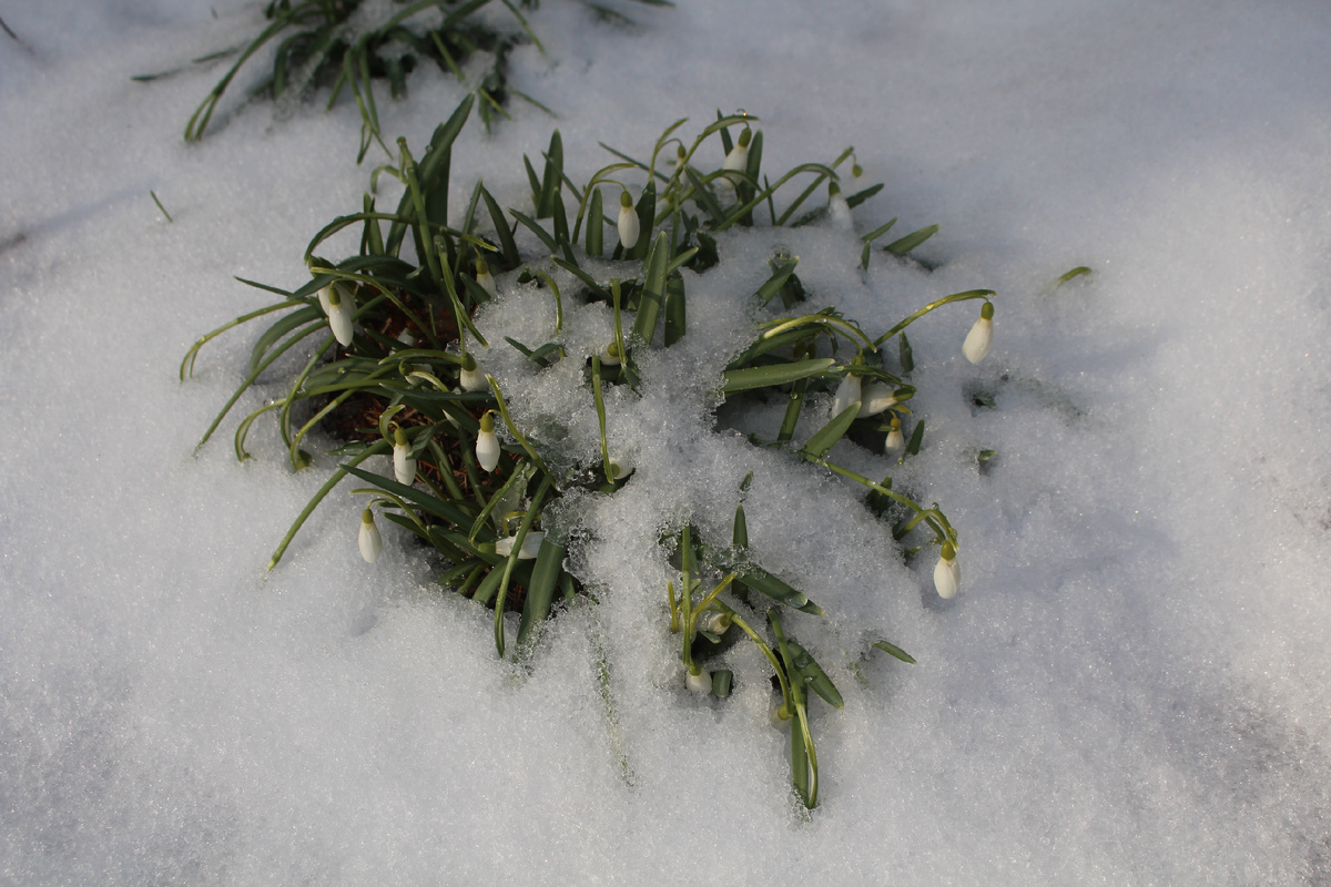 Ждем с нетерпением!