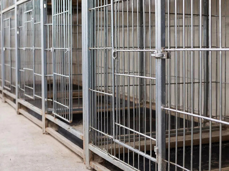     Сгенерировано нейросетью