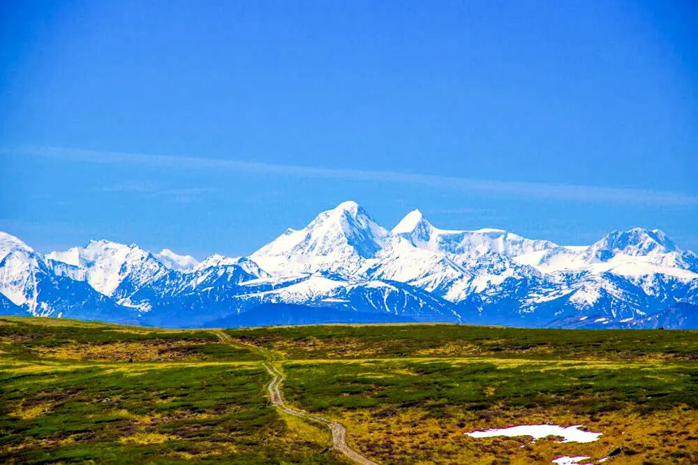 "Путешествие по Алтаю 2026 с 04travel"