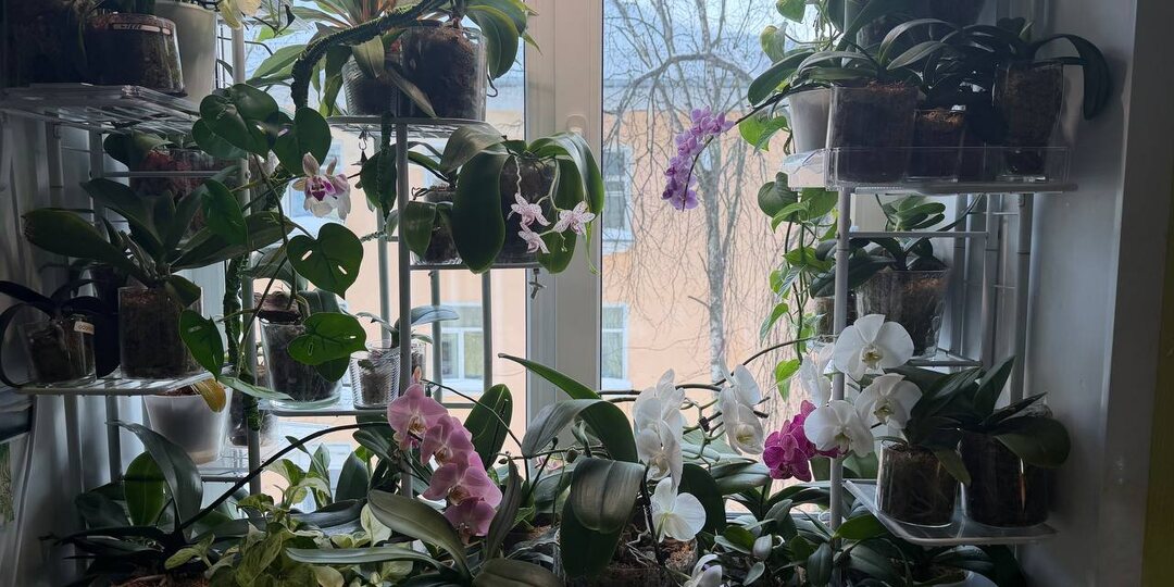 Сегодня все эти мученицы подвергались всю ночь холоду