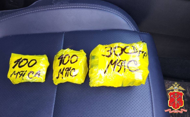    © Пресс-служба ГУ МВД России по Петербургу и Ленобласти