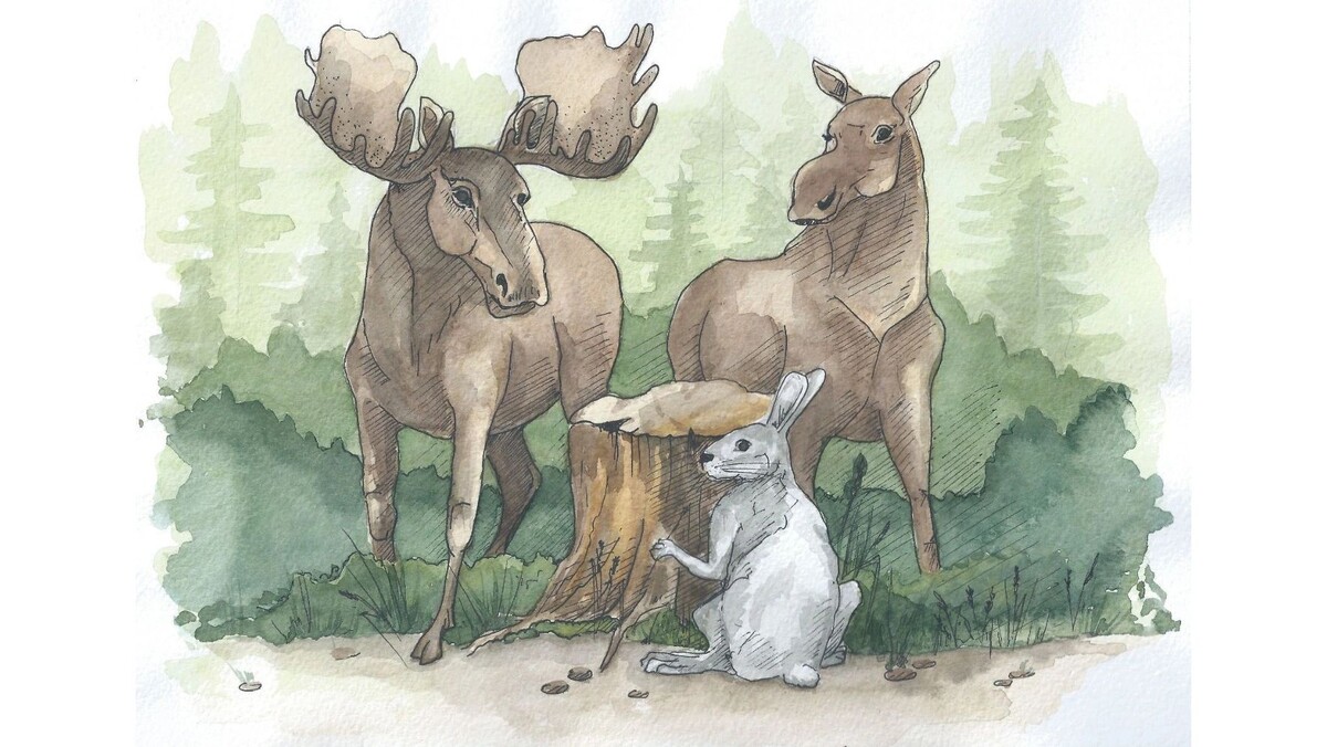    Иллюстрация: Наталья Колбина / «Ямал-Медиа»