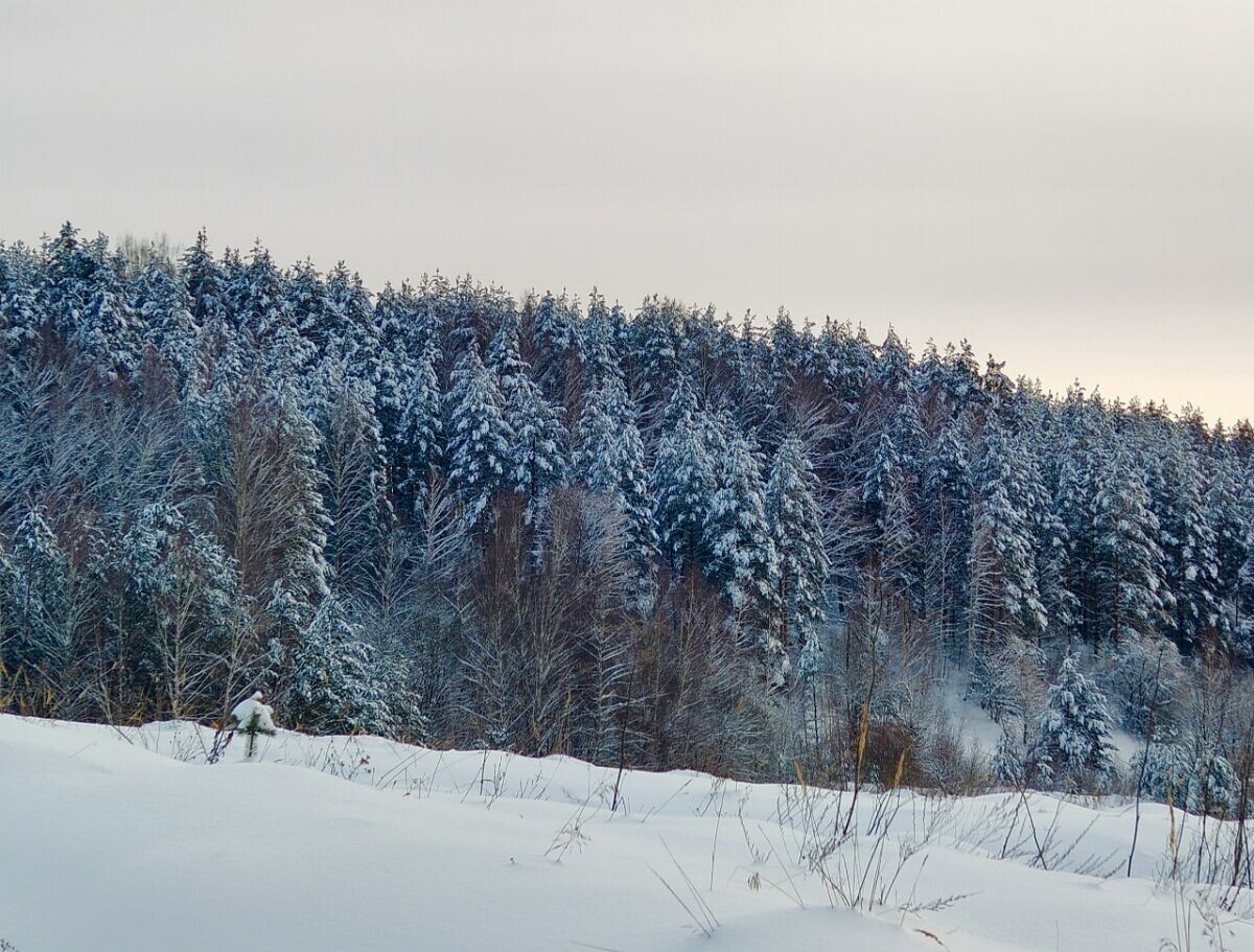    Фото: ДОМОСТРОЙНН.РУ