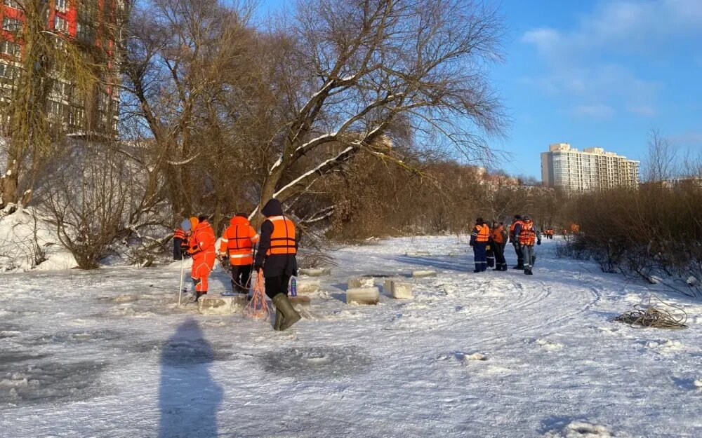    Фото: "ЛизаАлерт"