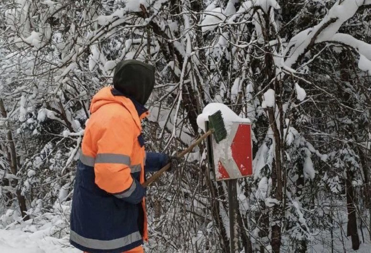    Фото: пресс-служба МТДИ МО
