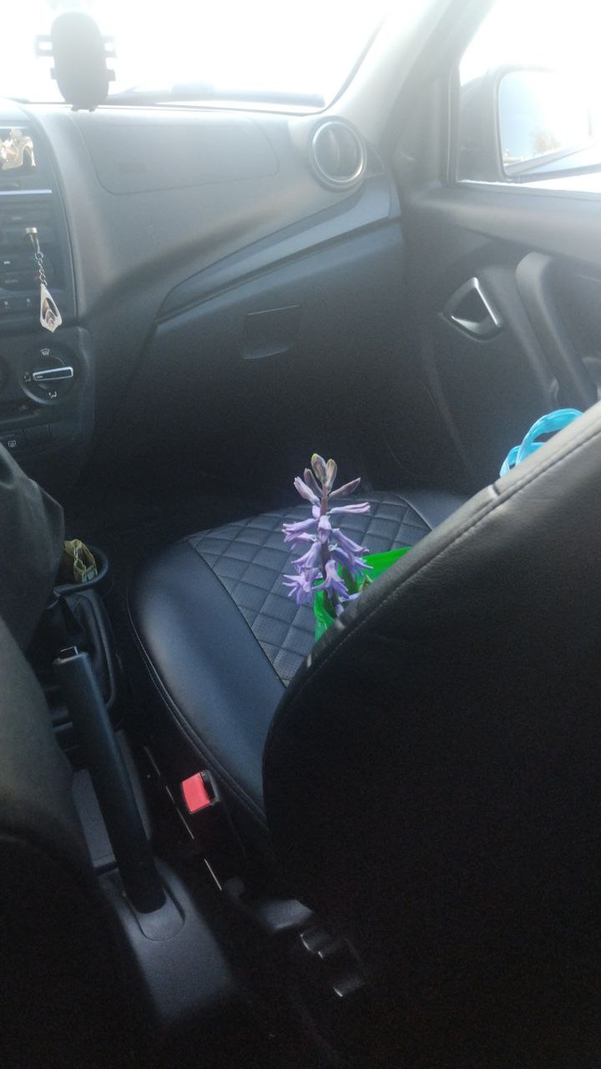 Цветочек в машине. Фото автора