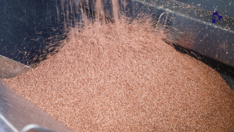      Фото: Дмитрий Ахмадуллин / / ИА «Победа26»