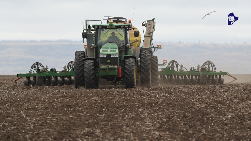    Под зиму на Ставрополье посеяли около 2 млн га озимых, а весной планируют посеять около 1 млн га яровых Фото: ИА «Победа26»